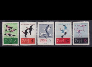 Sowjetunion 1962 Einheimische Vögel Mi.-Nr. 2688-2692 postfrisch **