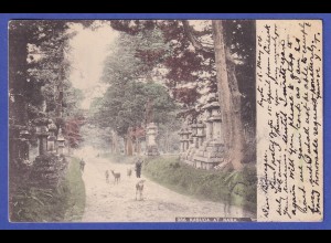 Japan 1904 old postcard Kasuga-Taisha in Nara mailed from KIOTO to Germany