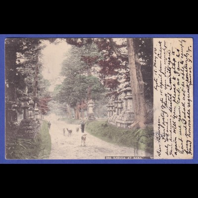 Japan 1904 old postcard Kasuga-Taisha in Nara mailed from KIOTO to Germany