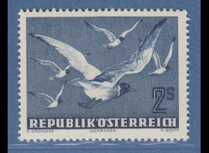 Österreich 1950 Freimarke Vögel 2S Lachmöven Mi.-Nr. 956