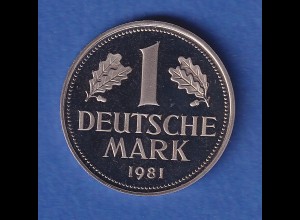 Deutschland Kursmünze 1 DM 1981 G Prägequalität PP